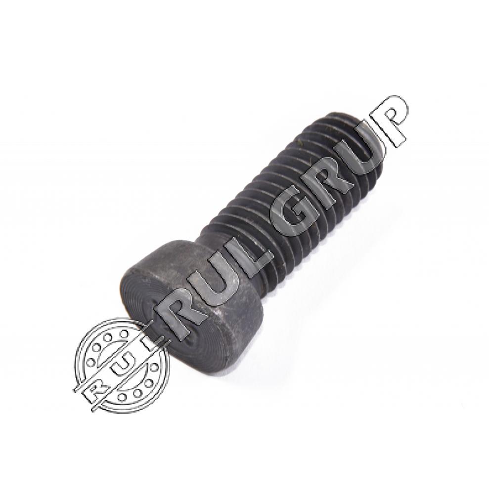 SURUB PLUG M12X37 S78784 